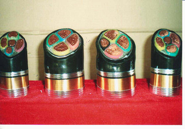 交聯(lián)聚乙烯絕緣電力電纜1.jpg