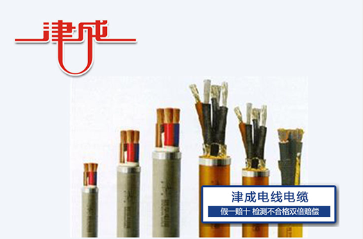 特種電纜