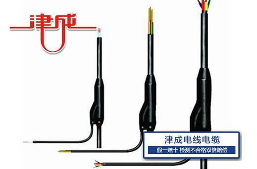分支電纜